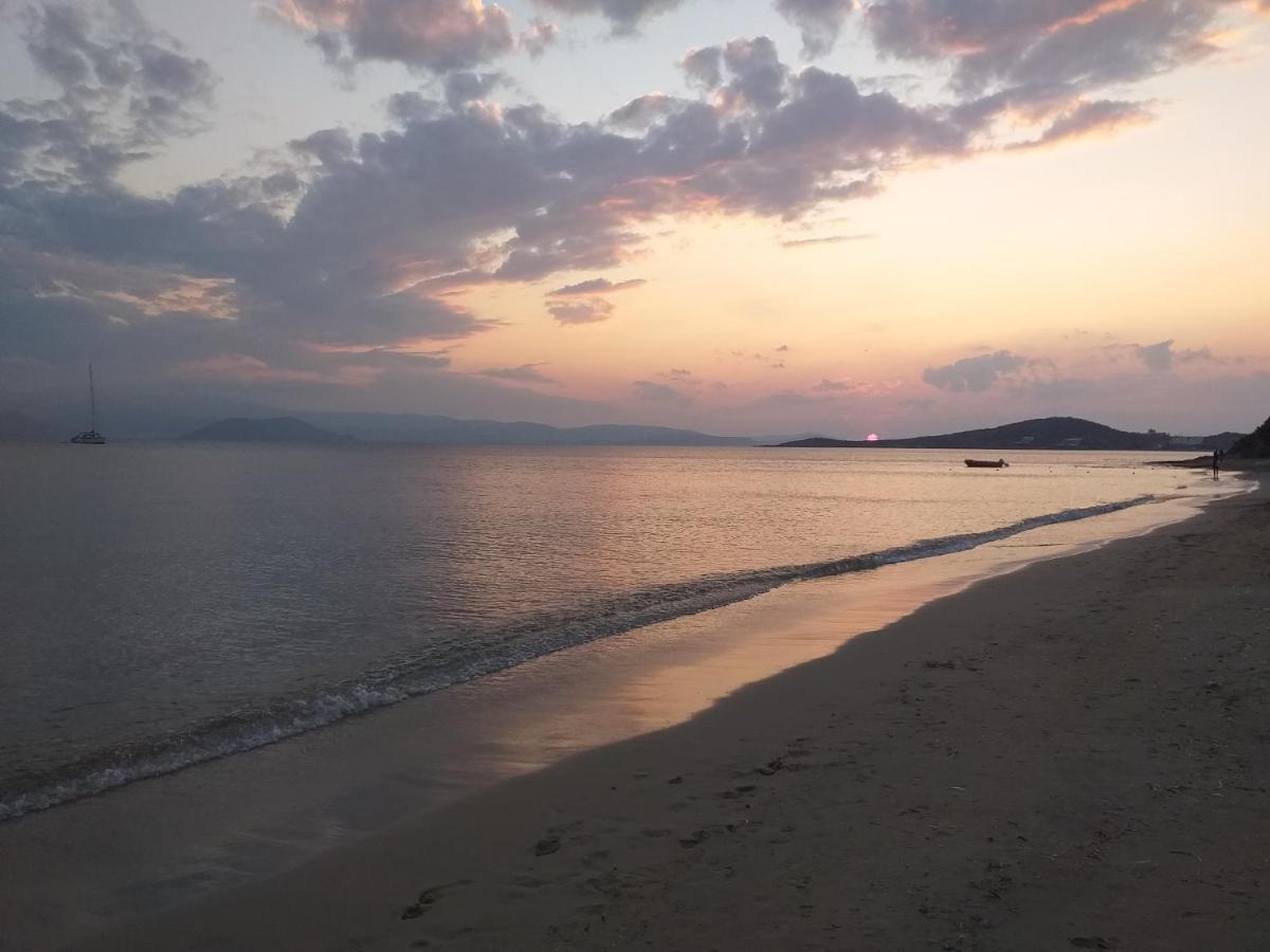 villa polemis Agia Anna  Esterno foto